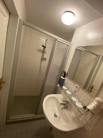 Hotel Wildschuetz Basic Altmünster Eksteriør bilde
