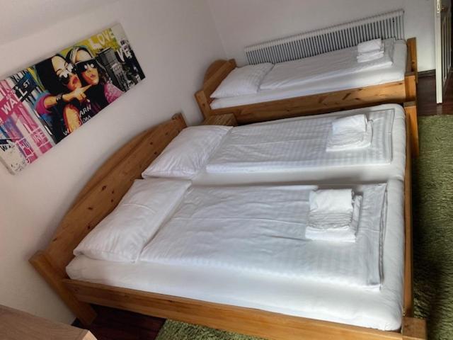 Hotel Wildschuetz Basic Altmünster Eksteriør bilde