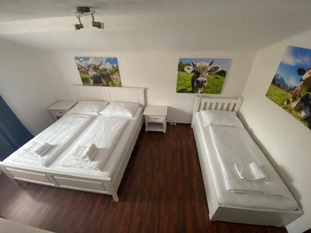 Hotel Wildschuetz Basic Altmünster Eksteriør bilde